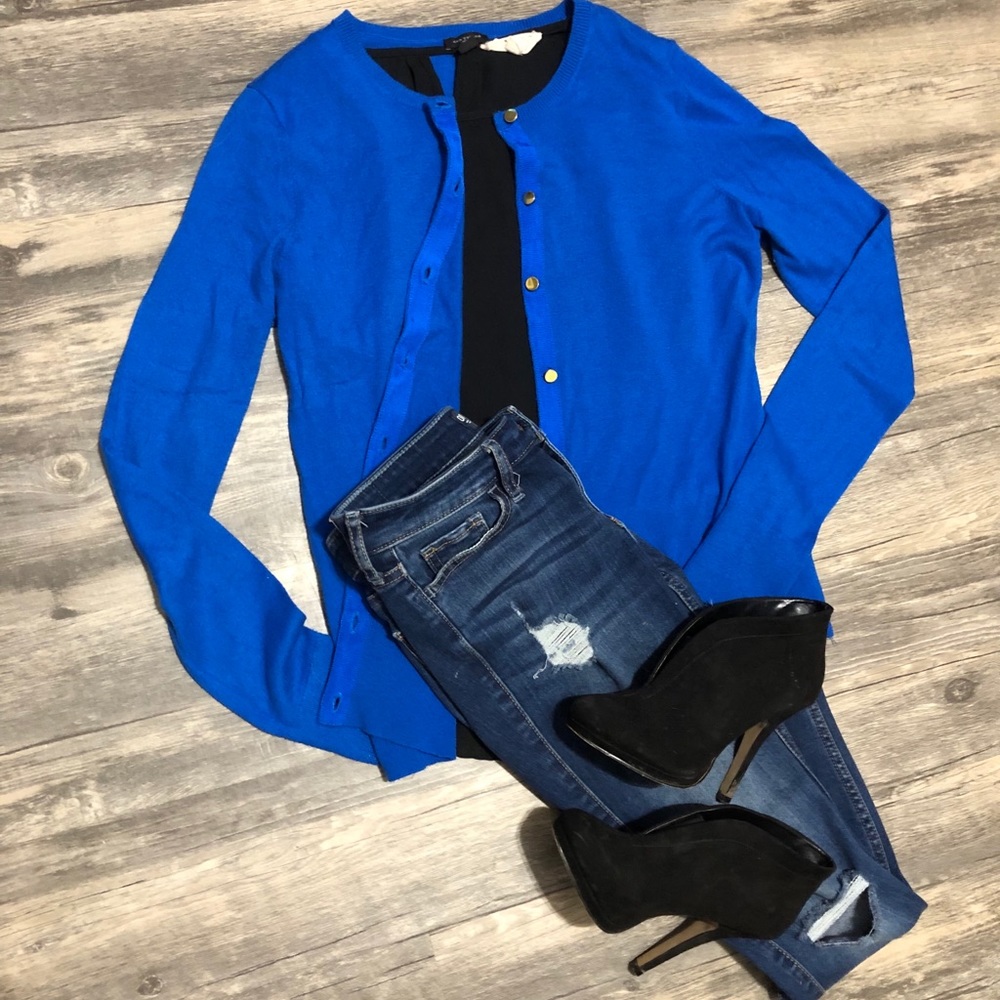 Blue Ann Taylor Cardigan (Medium)